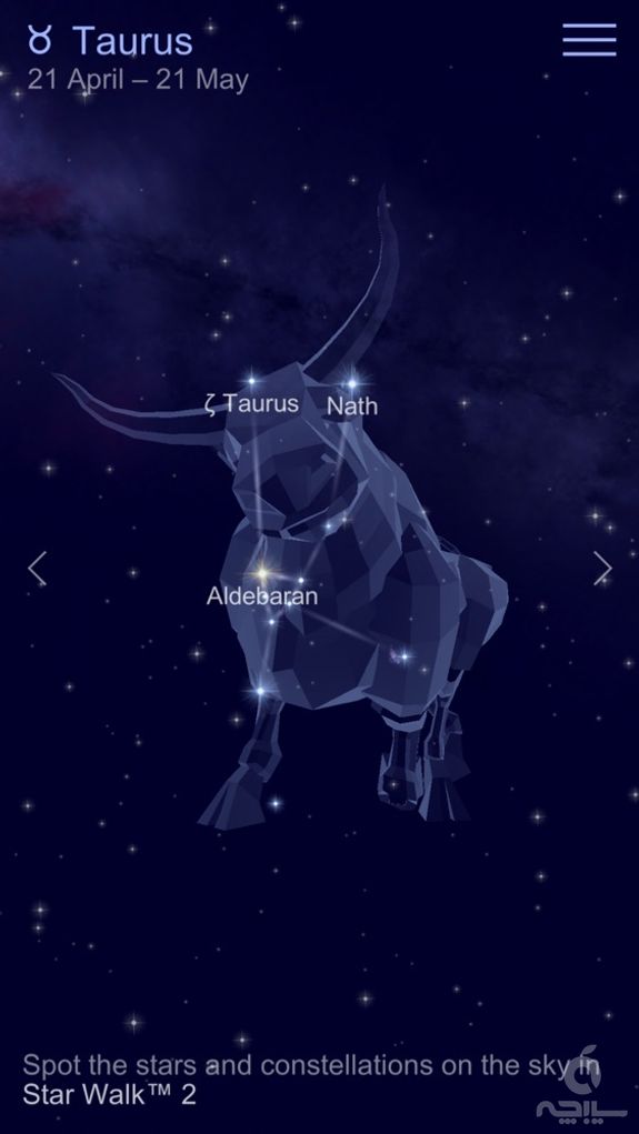 Zodiac Constellations Guide