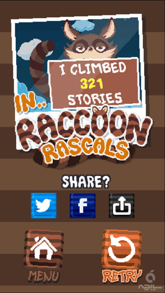 Raccoon Rascals