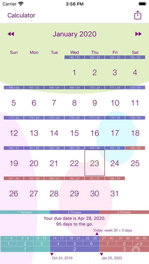 My Pregnancy Calendar