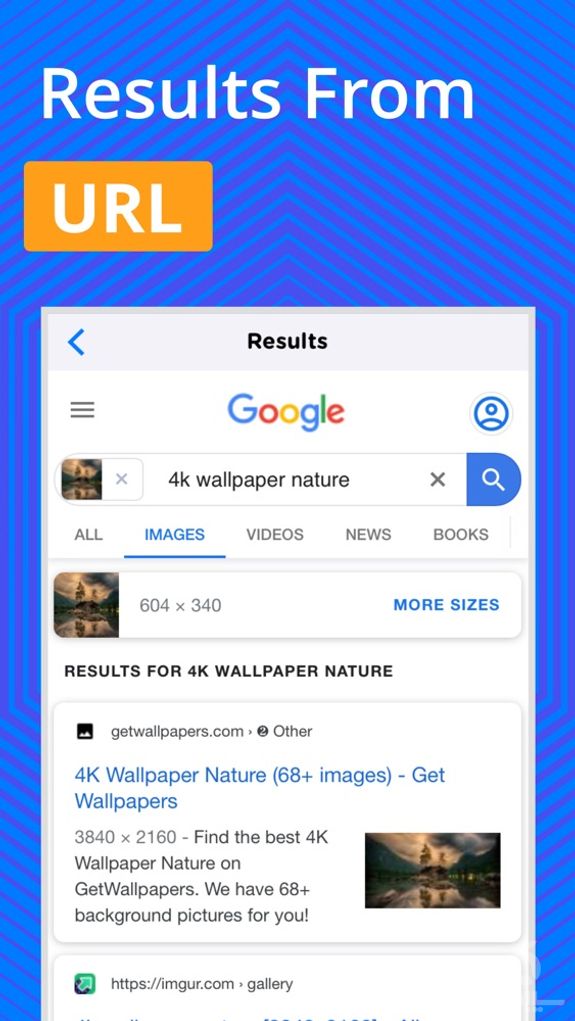 Reverse Image Search - OCR