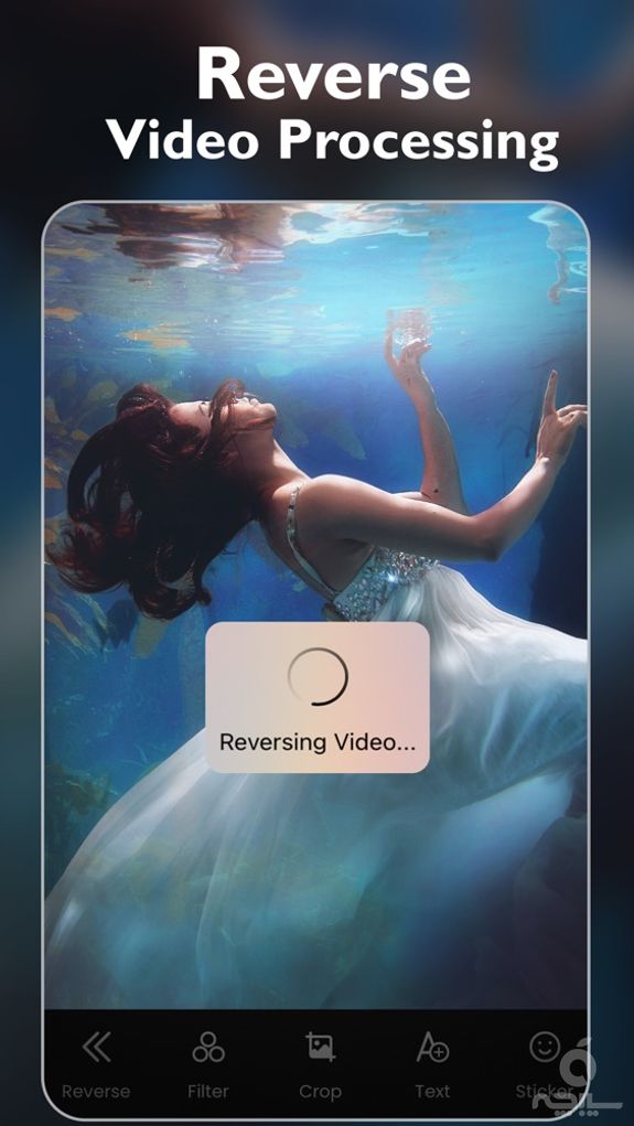 Reverse Video: Instant Play Movies Backwards and Forwards