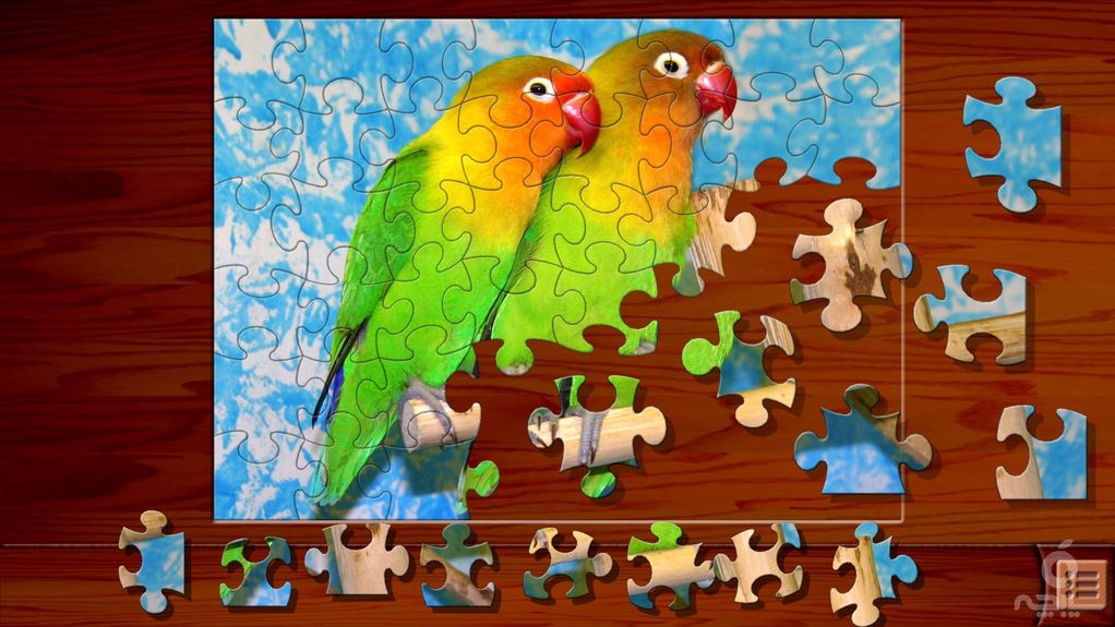 Jigsaw Puzzles⁺