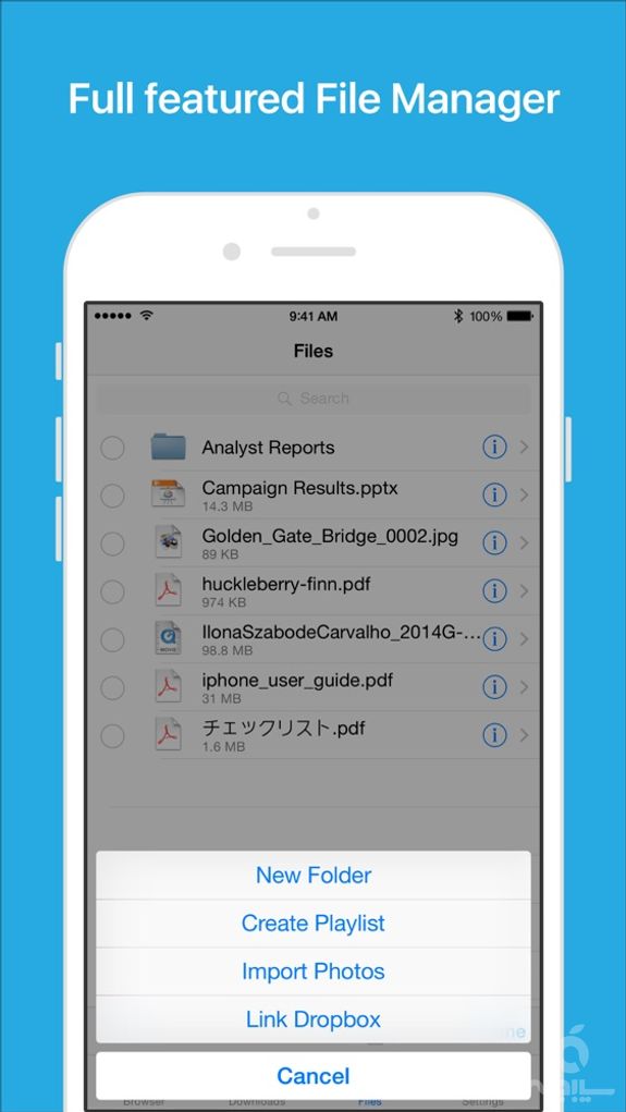 Files - File Manager & Browser