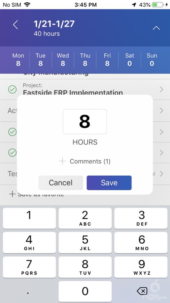 Dynamics 365 Project Timesheet