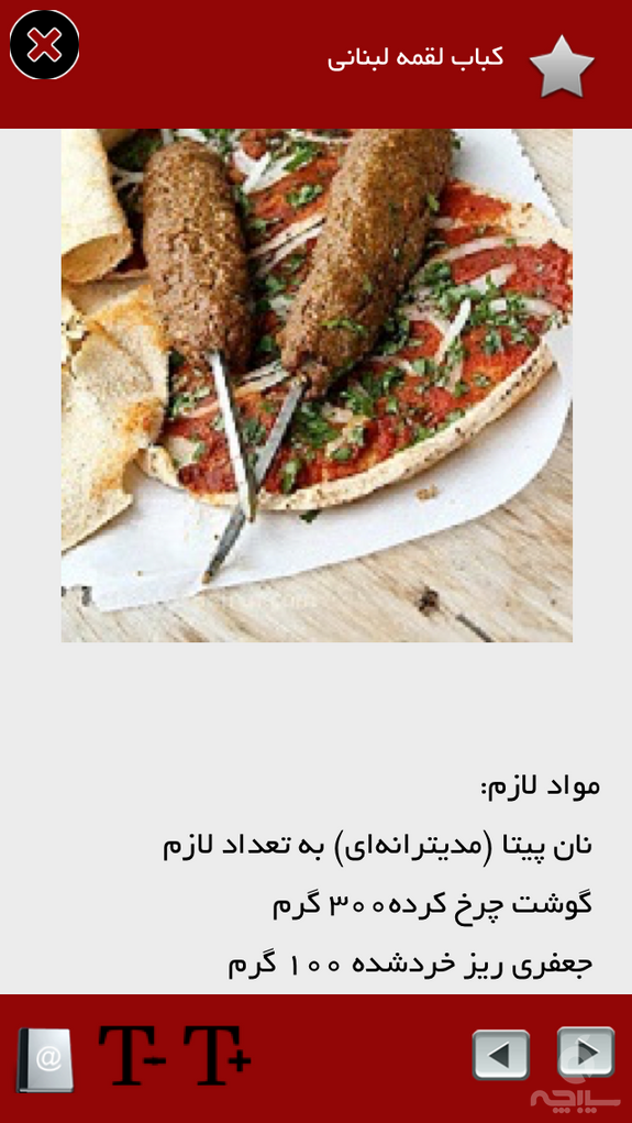 غذاهای لبنانی و عربی