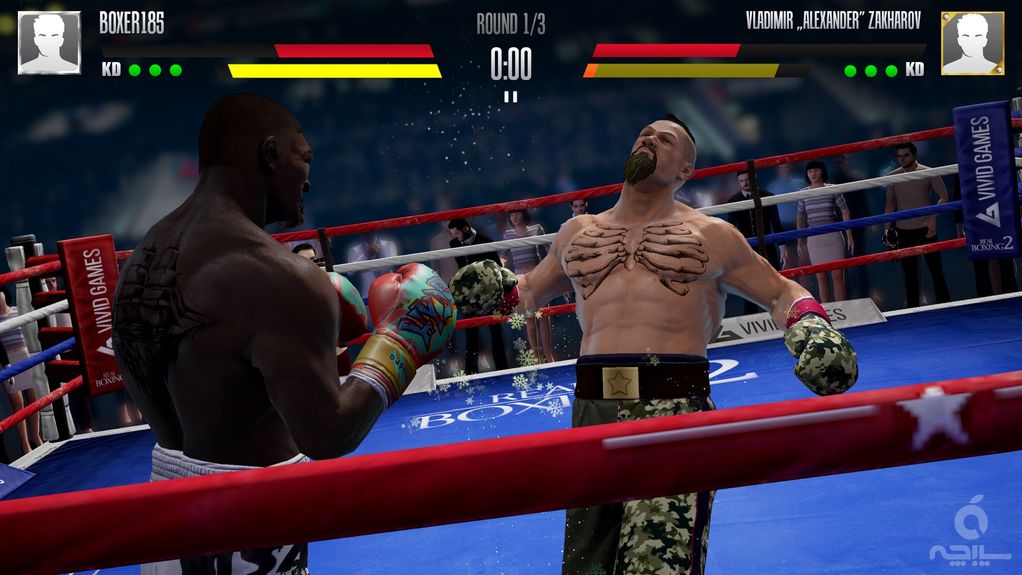 Real Boxing 2