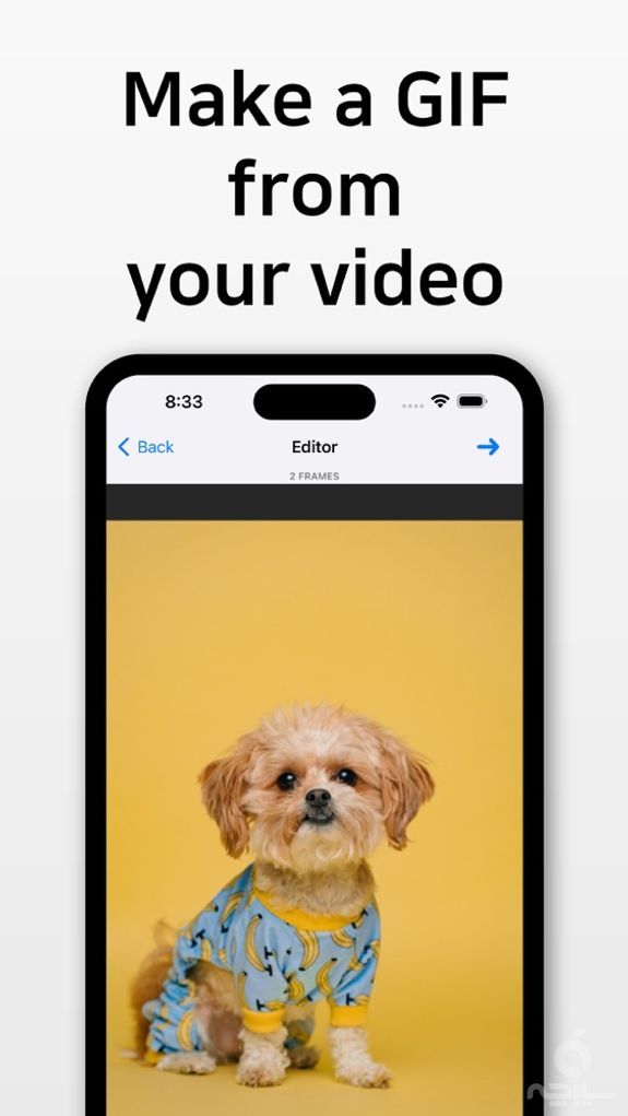 GIF Toaster Pro