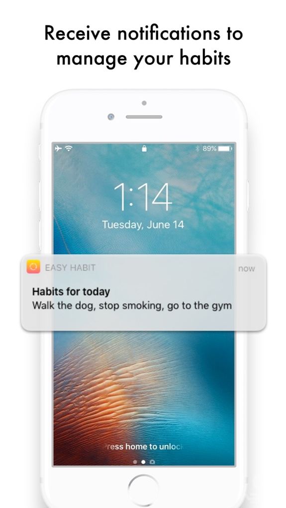 Easy Habit - Goals Reminder