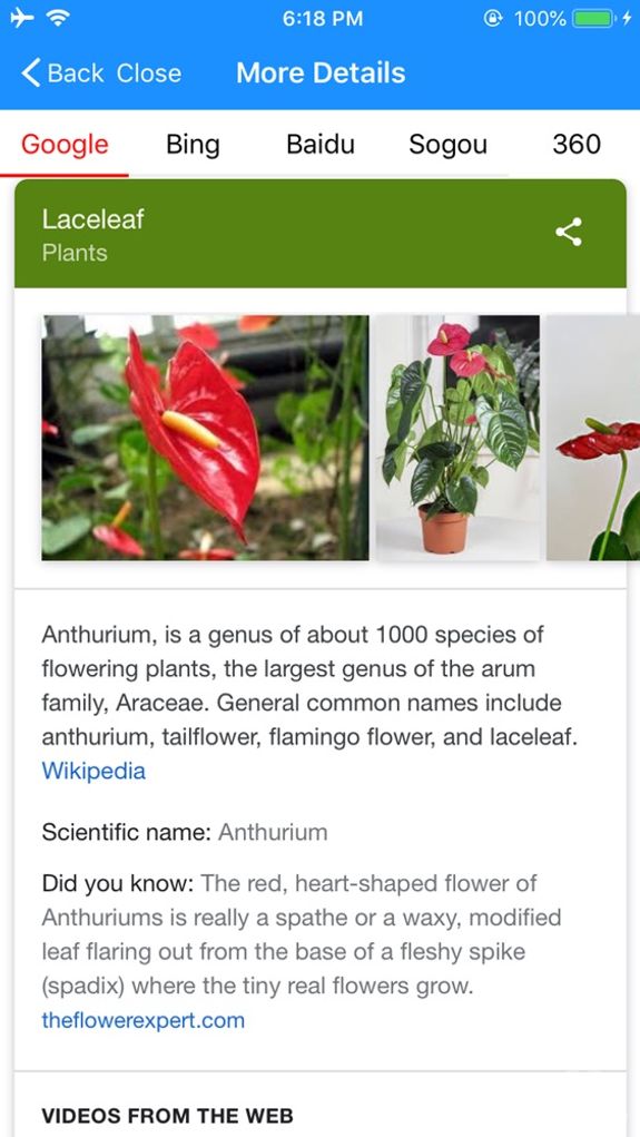 iFlowers - Plant identifier