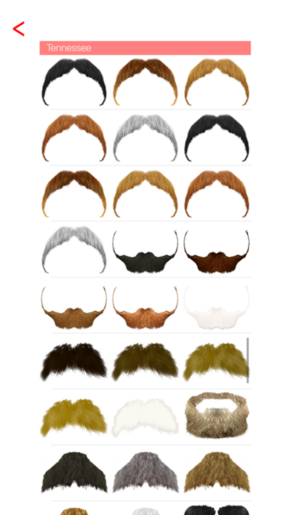 Mustache & Beard Me Editor