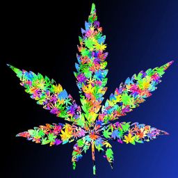 weed quotes wallpaper