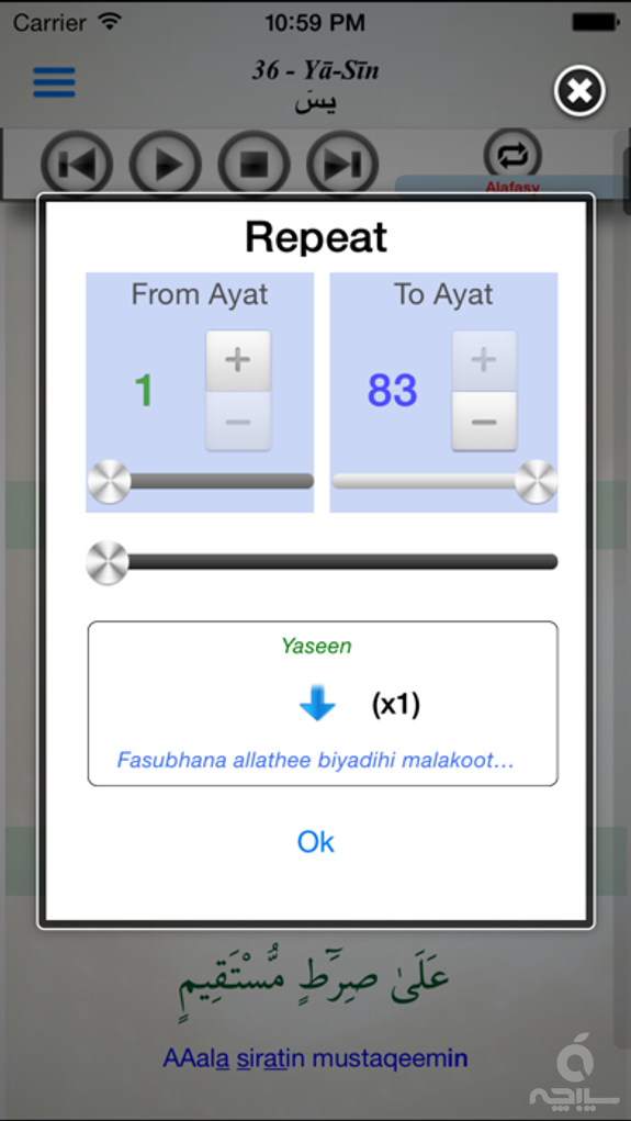 Surah Ya-Sin (سورة يس)