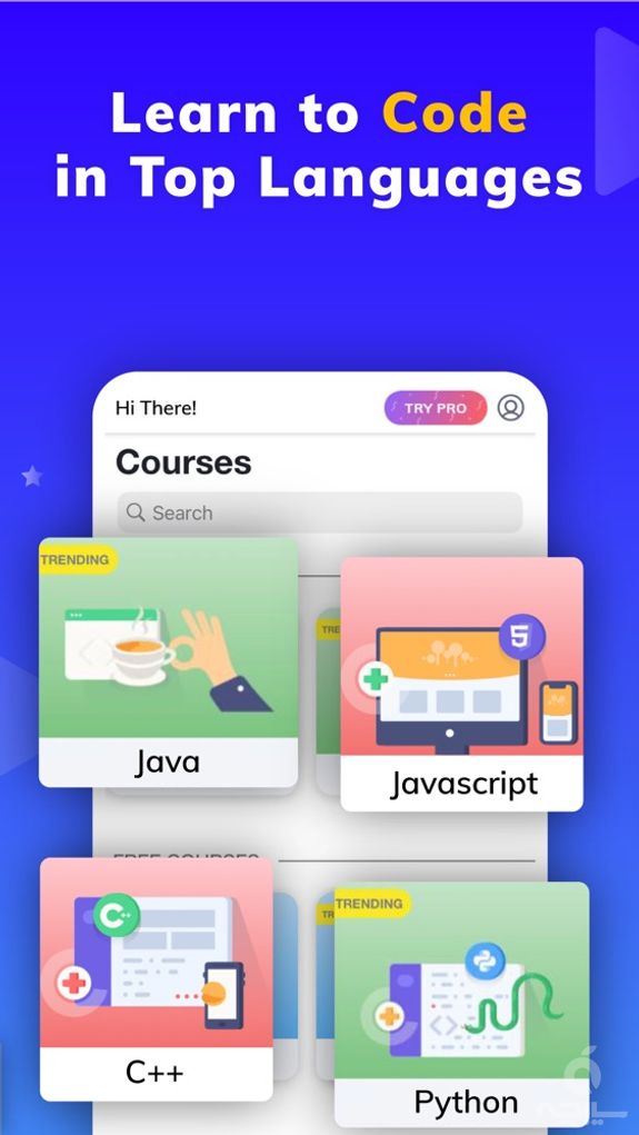 Programming Hub: Learn Coding