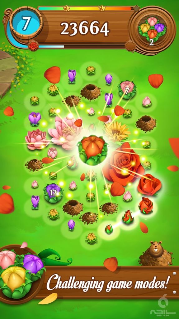 Blossom Blast Saga