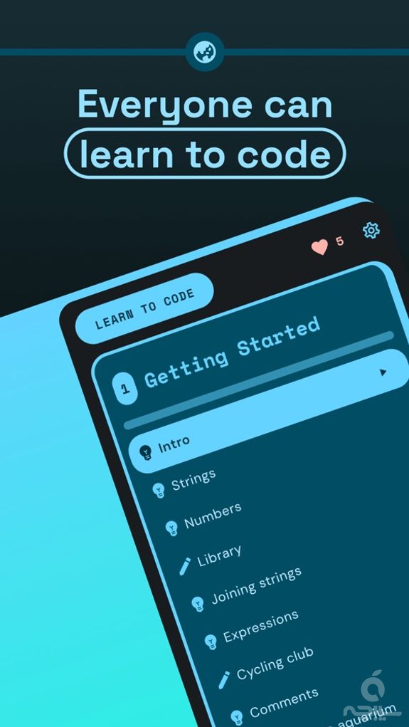 Knowin: Learn Coding