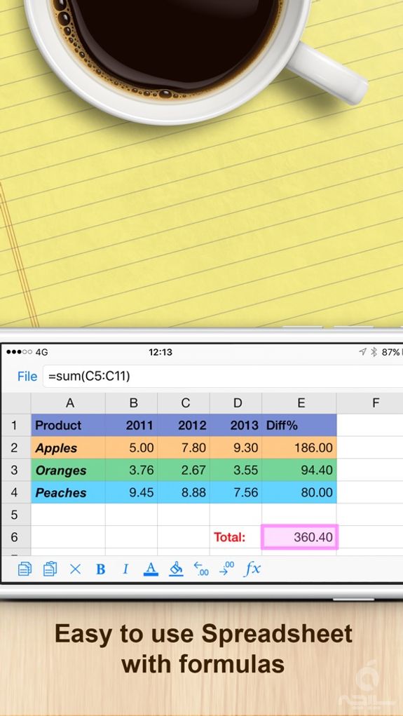 Documents (Office Docs)