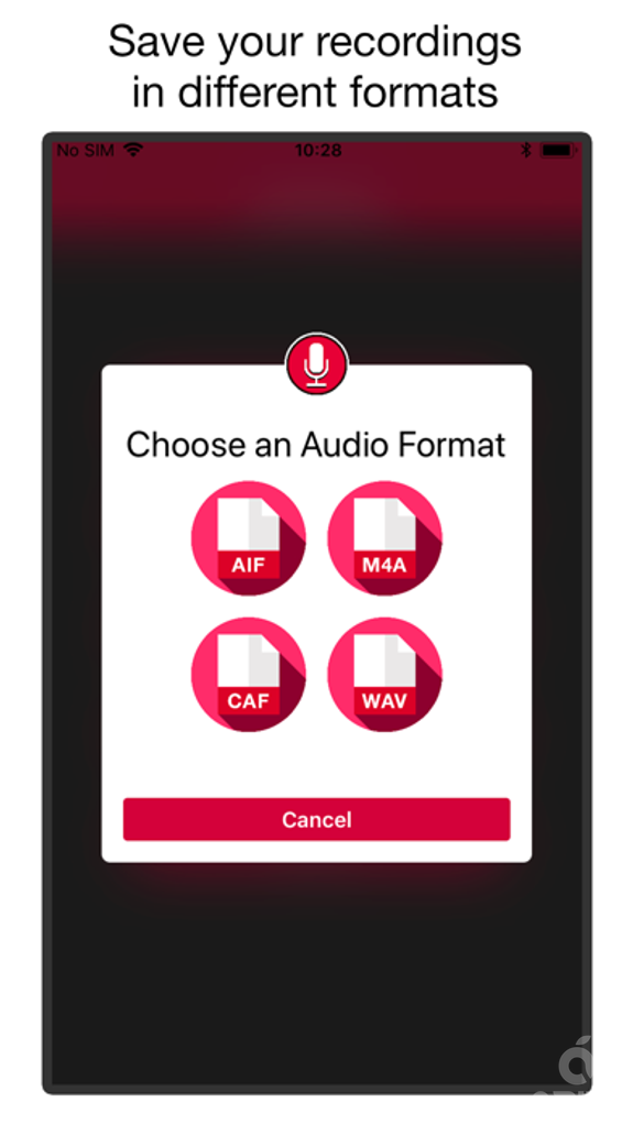 Voice & Audio Recorder PRO