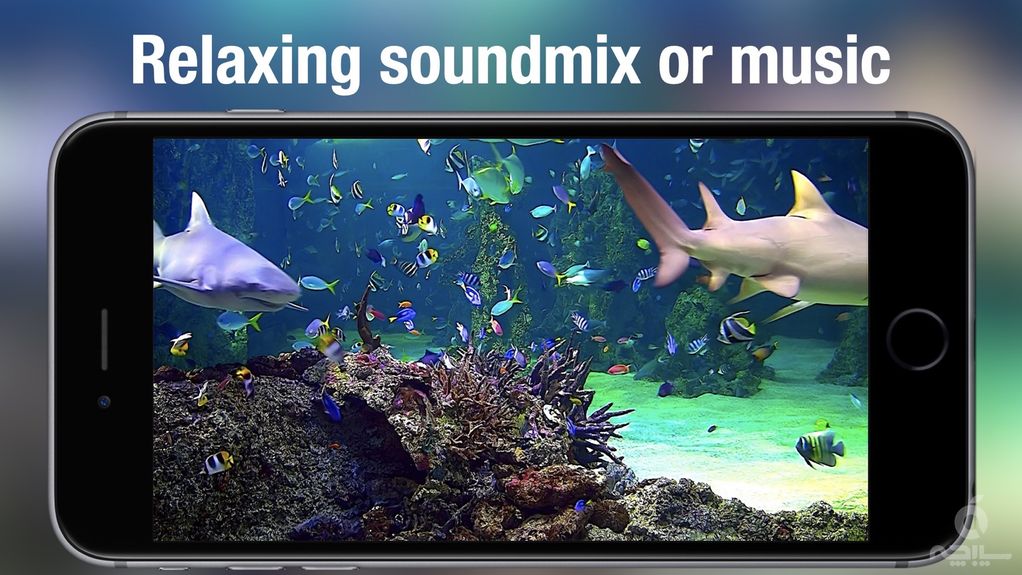 Aquarium Live HD +