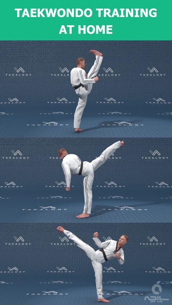 Mastering Taekwondo