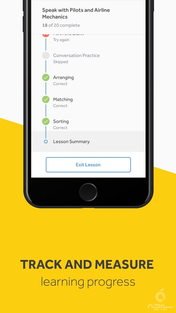 Rosetta Stone: Fluency Builder