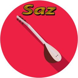 Saz Baglama Cal Electric