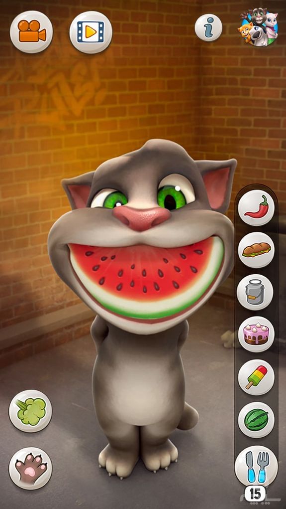 Talking Tom Cat