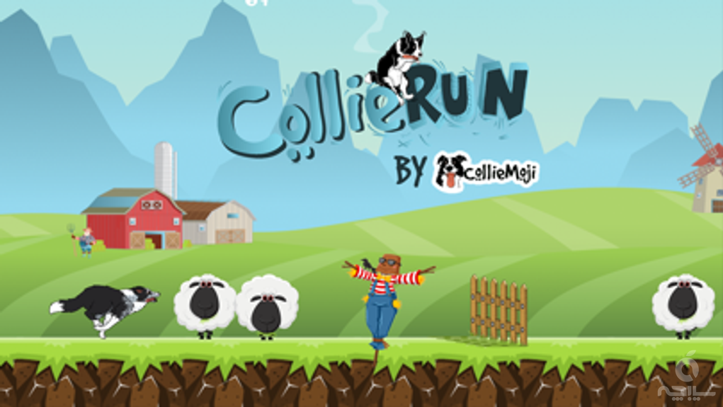 CollieRun - Dog agility game