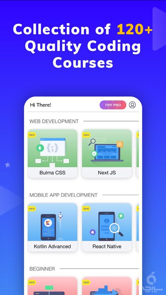 Programming Hub: Learn Coding