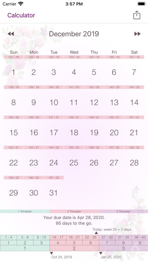 My Pregnancy Calendar