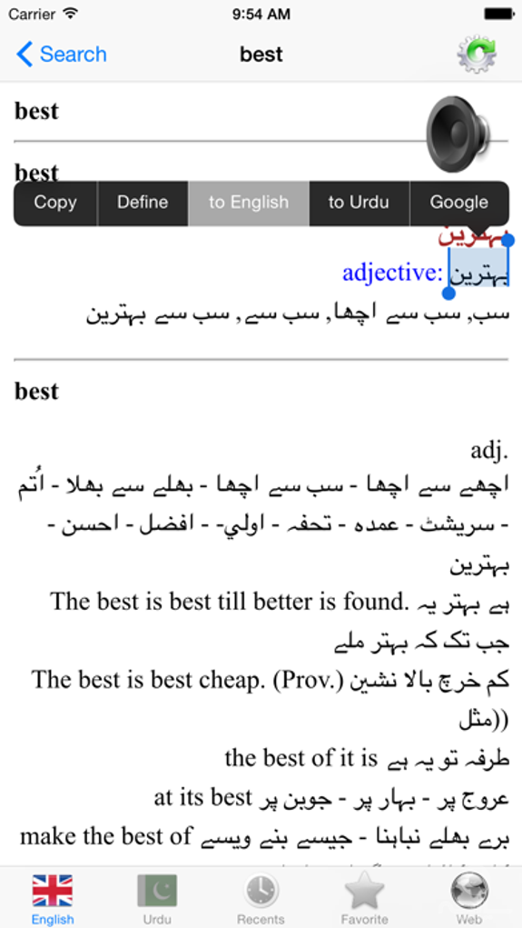 English Urdu best dictionary - انگریزی اردو لغت بہترین ترجمه