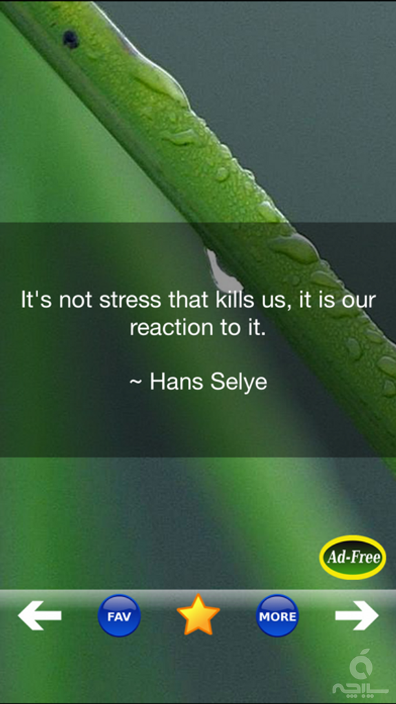 Stress Relief & Management App