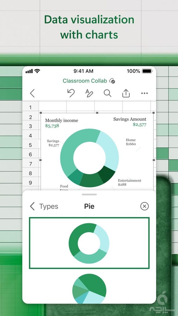 Microsoft Excel