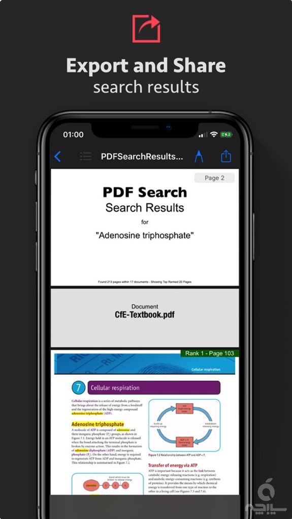 PDF Search