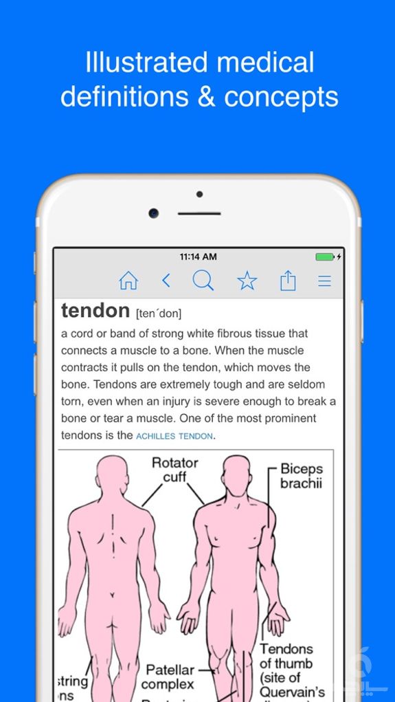 Medical Dictionary by Farlex