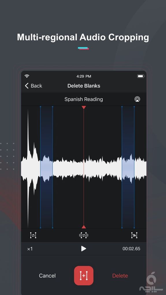 Voice Recorder Pro - Recording