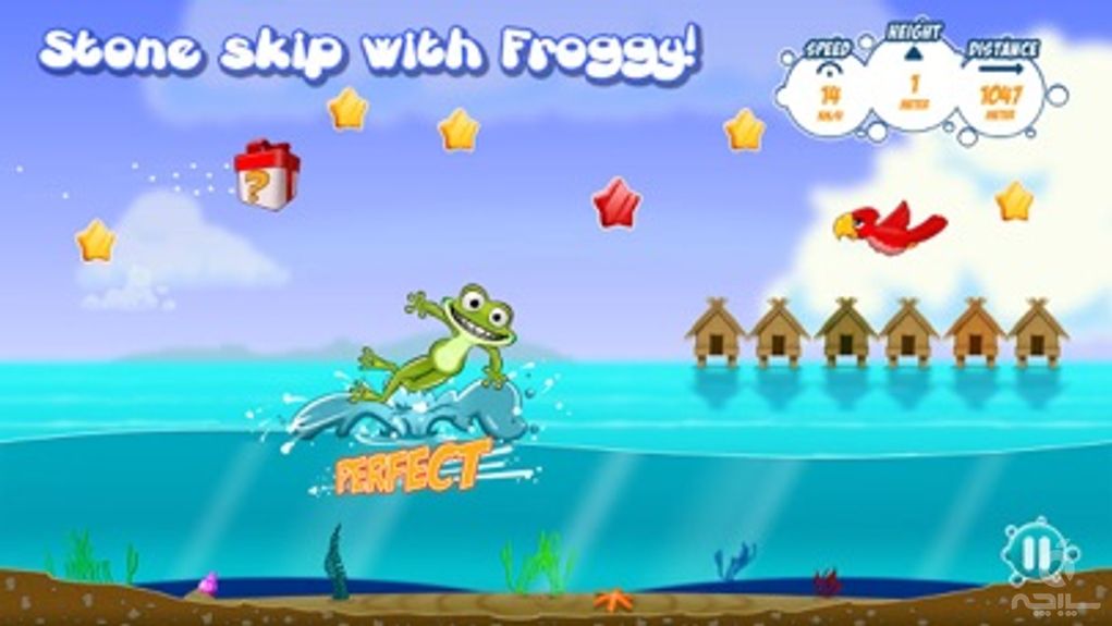 Froggy Splash