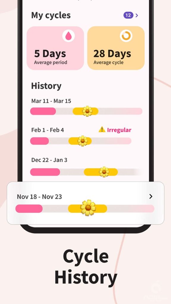 Period Tracker Period Calendar