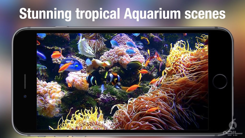 Aquarium Live HD