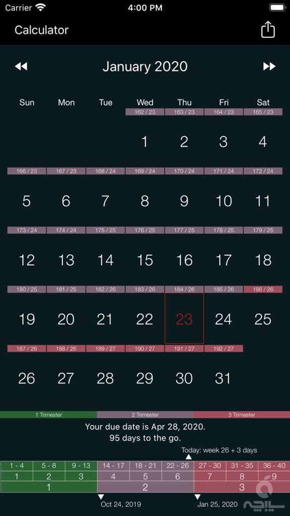 My Pregnancy Calendar