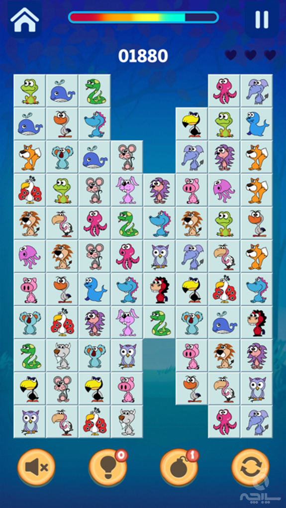 Onet connect viber animal