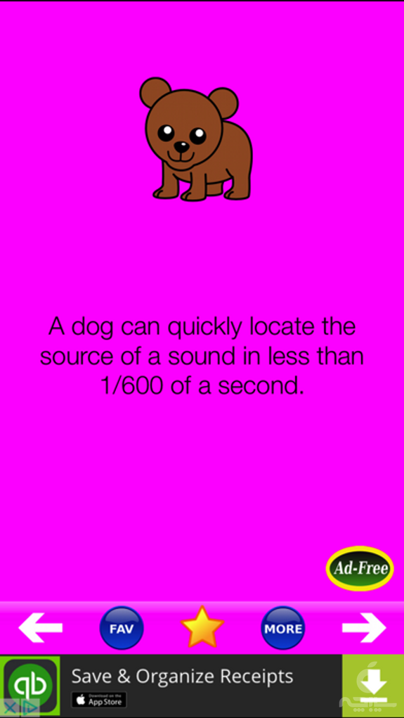 Animal Fun Facts