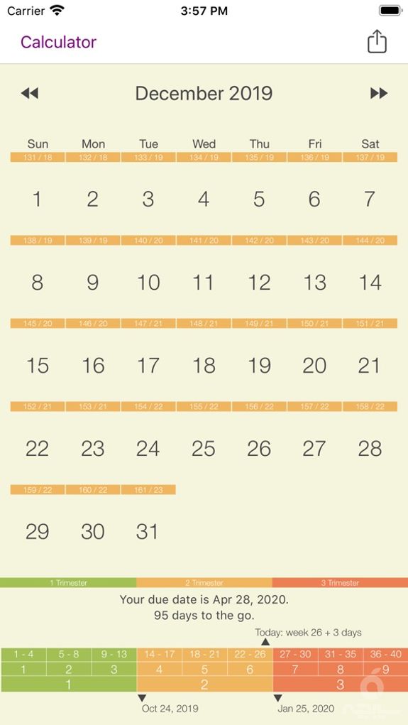 My Pregnancy Calendar