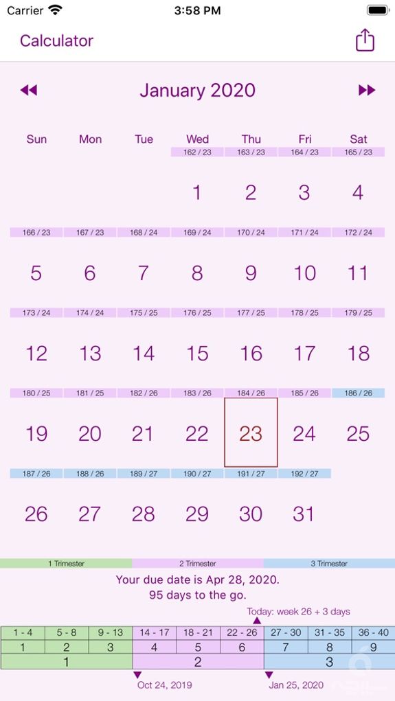 My Pregnancy Calendar