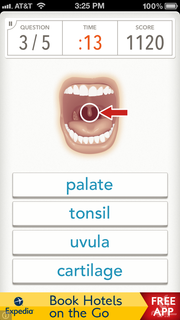 Quizzitive – A Merriam-Webster Word Game