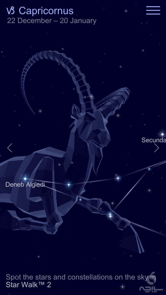 Zodiac Constellations Guide