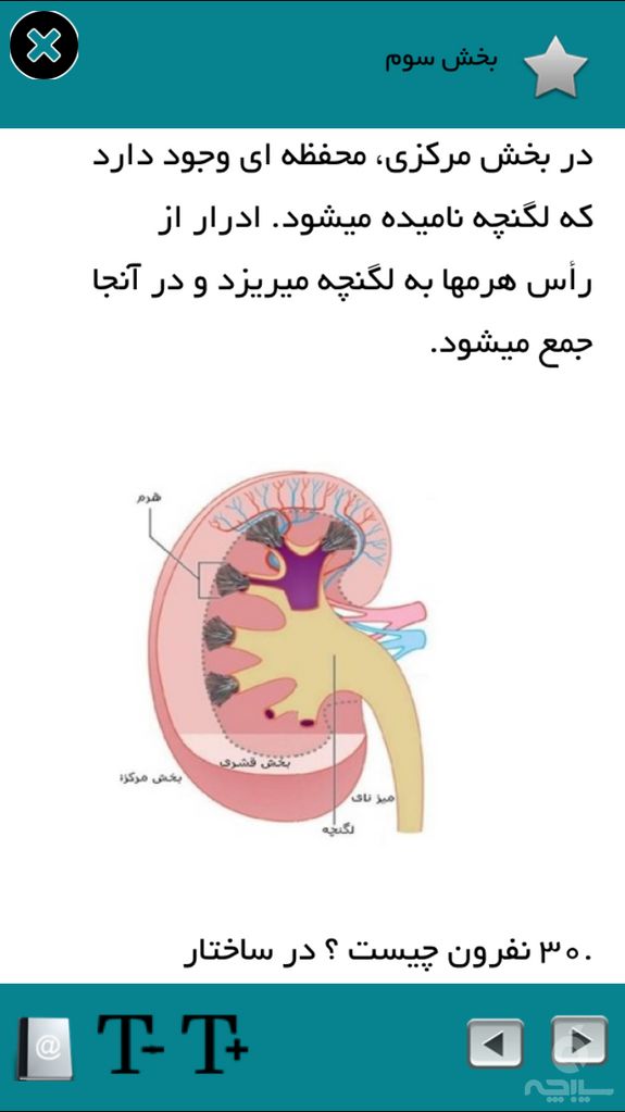 علوم هفتم(سوال متن)