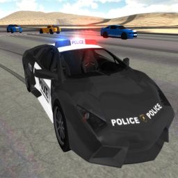 Police Car Driving Simulator