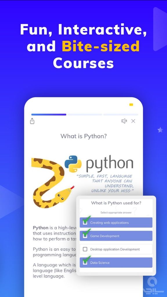 Programming Hub: Learn Coding