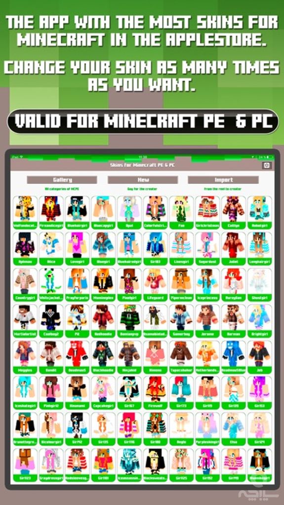 Skins for Minecraft PE & PC - Free Skins