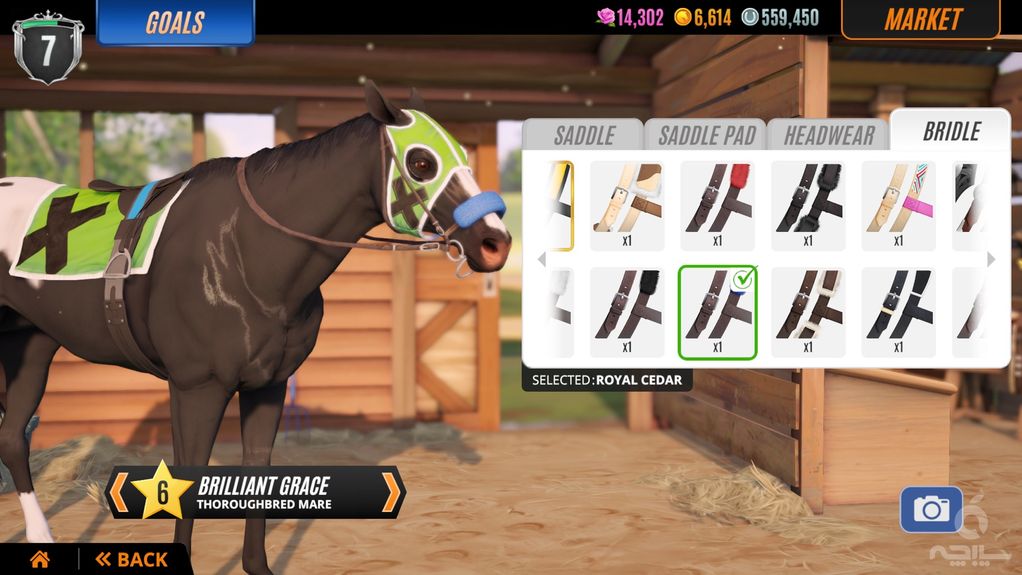 Rival Stars Horse Racing